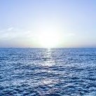 tonyh7991's profile picture. 