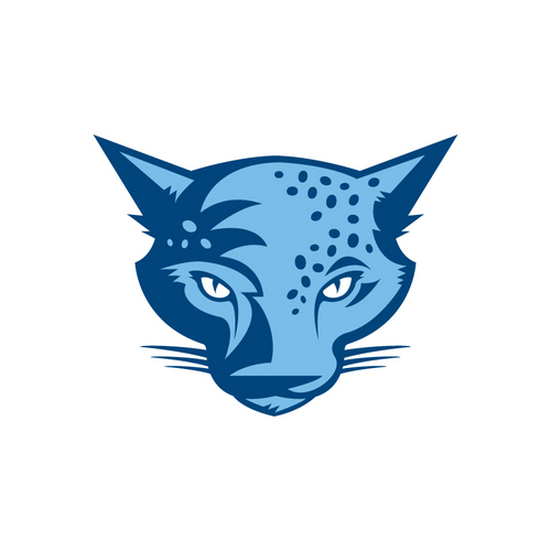 TheLadyJaguars's profile picture. The official page of the the 2010 USSSA National Champions.