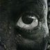 Stoic✝️ (@vemmally) Twitter profile photo Stoic✝️ (@vemmally) Twitter profile photo