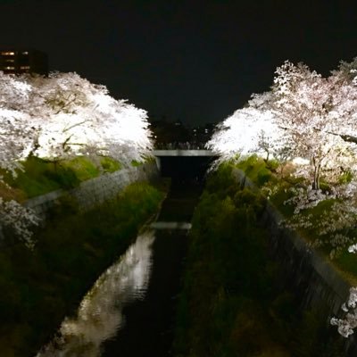 もち夫さんのプロフィール画像