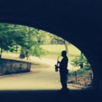 NYC Sights Sounds (@nycsightssounds) 's Twitter Profile