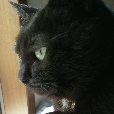 PbsvNmjAJqNTitB's profile picture. 好きなモノ☆KAN、ともさかりえ、マカロン、チロルチョココーヒーヌガー、味付け海苔、ピーマン。

(追加)SnowMan〜2022.1月〜

160mp