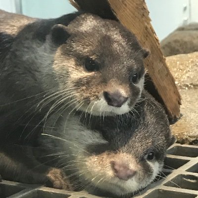 PYseBXcUwU8zBwJ's profile picture. 