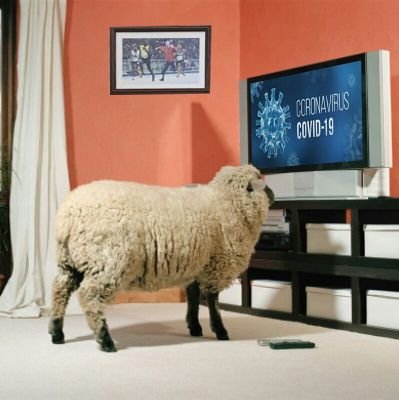 arcapedia's profile picture. Una verdad a medias será tarde o temprano, una mentira absoluta.