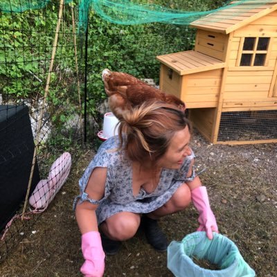 counsellor , keeper of hens , over thinker and avid listener . 🐓🌊