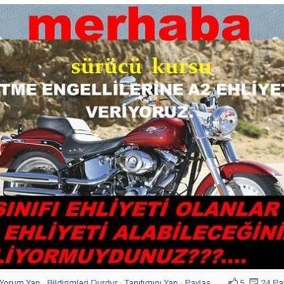 ayvazalan's profile picture. 