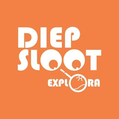 DiepslootExplor Profile Picture