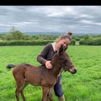 Claire Hart (@clairehart11) 's Twitter Profile