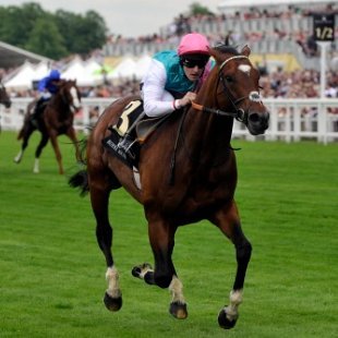 RTipsnadvice's profile picture. All things racing, I do not class myself as a tipster but posting some selections for fun.