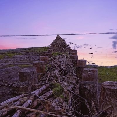 not_apologized's profile picture. 