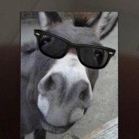 Jaime Mendez (@j13m2jaime1608) 's Twitter Profile