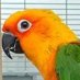 @LXwvSnUUXYVw2w6