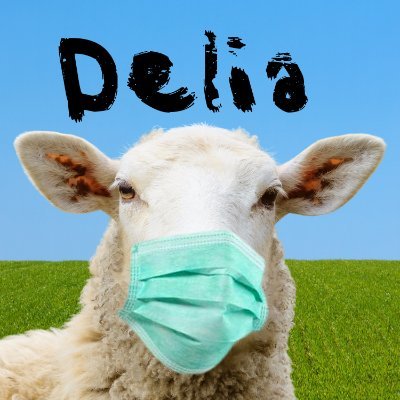 DeliaTheSheep Profile Picture