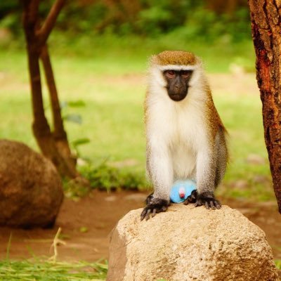 newchallenge8's profile picture. Hello I’m Yuta. Thank you for coming my page. I’m available on Friday night, Saturday and Sunday for “RENT”!! This sounds weird but You can rent me!!