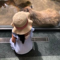ケミカル兼 (@chemicalkenn) 's Twitter Profile