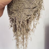 Jamey Davis, CGCS (@jamey_davis0) 's Twitter Profile