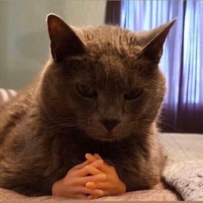 Tisfortoxic's profile picture. 