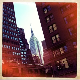 timpphoto's profile picture. artist; professional fashion, portrait, wedding photographer; designer