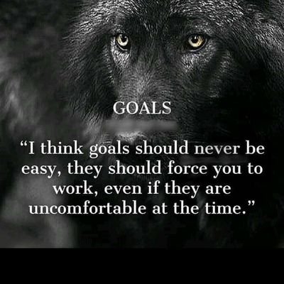 SaliuAkeem14's profile picture. 