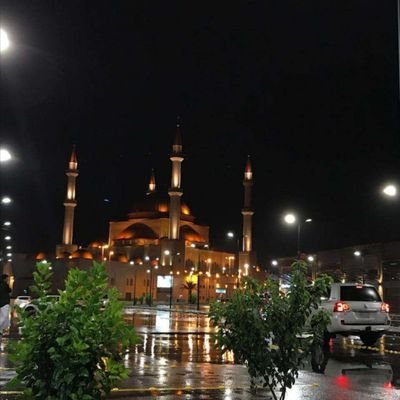 dQmGTmozSu7EDSm's profile picture. Airport police