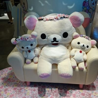 rejb8NnVtkTehFE's profile picture. 