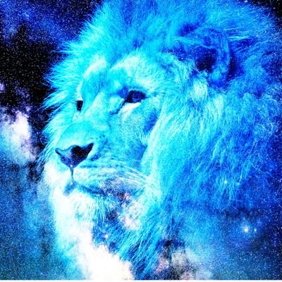 tigerlionnet's profile picture. フォローは任せる。セルフイメージ。インサイドアウト。アドラー心理学。投資などビジネスよりなつぶやきをメモ代わりに投下していきます。知的さと熱量の絶妙なバランスで人を引き付ける天才。成功者は特別なことをしているわけではない、すごく地道なことを誰よりもまっすぐにしている者だ。