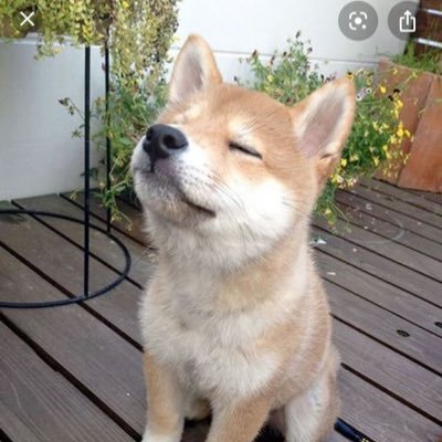 carolioness_'s profile picture. in case i don’t see ya... good afternoon, good evening, and good night.