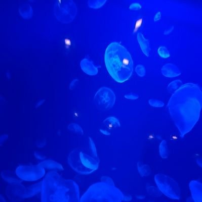 0813_chiko's profile picture. 清春さん曰く出戻り。ソロ歴浅いですがよろしくお願いします😌
3人の子の母。子育てツイート、日常の呟きも多いです。