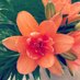 God's Sweet Nectar (@godsweet_nectar) Twitter profile photo God's Sweet Nectar (@godsweet_nectar) Twitter profile photo