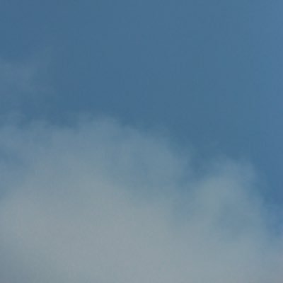 w0w_OvO's profile picture. 