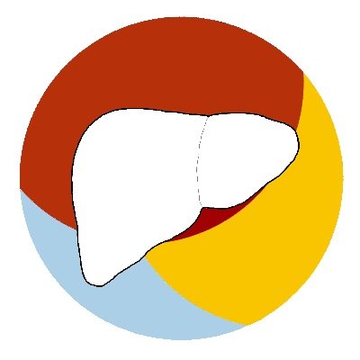 LiverSurgSanRaf's profile picture. Center of excellence and high volume of activity specifically and exclusively for the diagnosis and treatment of benign and malignant liver tumors