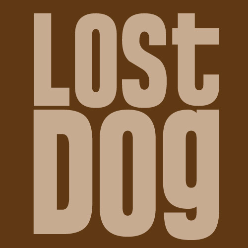 OttawaLostDogs's profile picture. This feed is no longer active