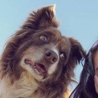 Siobhan Doyle (@siobhanj29) 's Twitter Profile