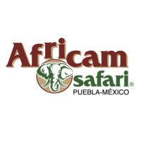 Africam Safari(@AfricamSafari) 's Twitter Profile Photo