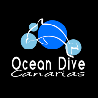 Ocean Dive Canarias 🇮🇨 (@odcanarias) 's Twitter Profile