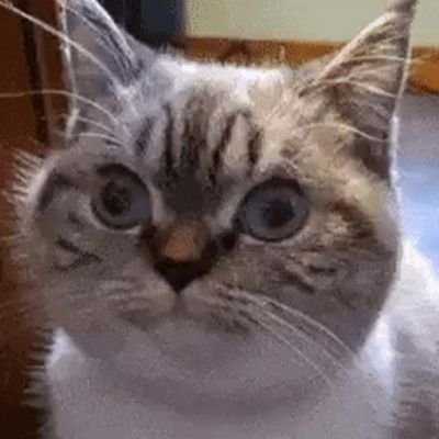 GeometrykP's profile picture. 