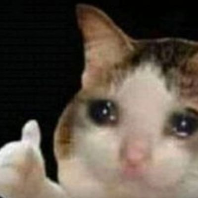 Hello! ☆ヾ(´・ω・`)
Software QA by day, Artist by night
|cat enthusiast | sword fanatic | minecraft addict||