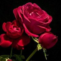 Mtirwa (@mtirwa) 's Twitter Profile Photo