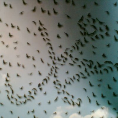 Meneke50201583's profile picture. menekşeyim