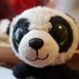 Uncommonpanda (@uncommonpanda1) Twitter profile photo Uncommonpanda (@uncommonpanda1) Twitter profile photo