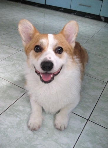 xxrjulia's profile picture. 