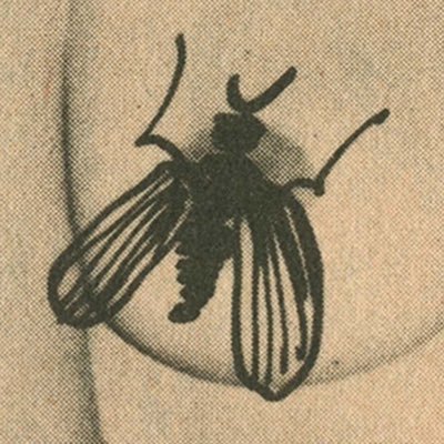 damn girl you shit with that ass?さんのプロフィール画像