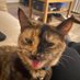 Shelly (@shellyl1981) Twitter profile photo Shelly (@shellyl1981) Twitter profile photo