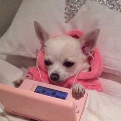 aveyavee's profile picture. 🇲🇽 🇮🇳