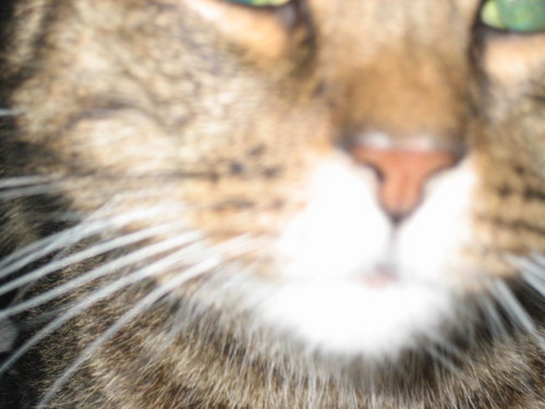 jessicaeleonor's profile picture. 