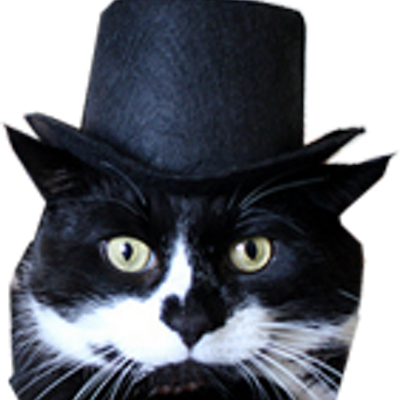 top hat cat