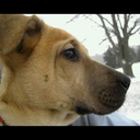 Chuck - @ChuckBill3 - Twitter