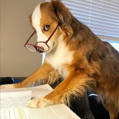 FergusonLawson1's profile picture. 