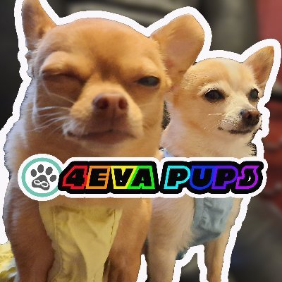 💖Our forever pups (Butterz🤴& Minka👸) want to bring cuteness and PAWfection to your day!
🌈Enjoy more fun with them here: https://t.co/galHY6ZKpT