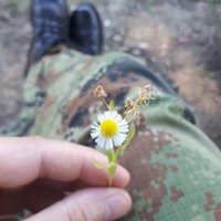 DoEwy_D@rk (@doewy_dark) 's Twitter Profile